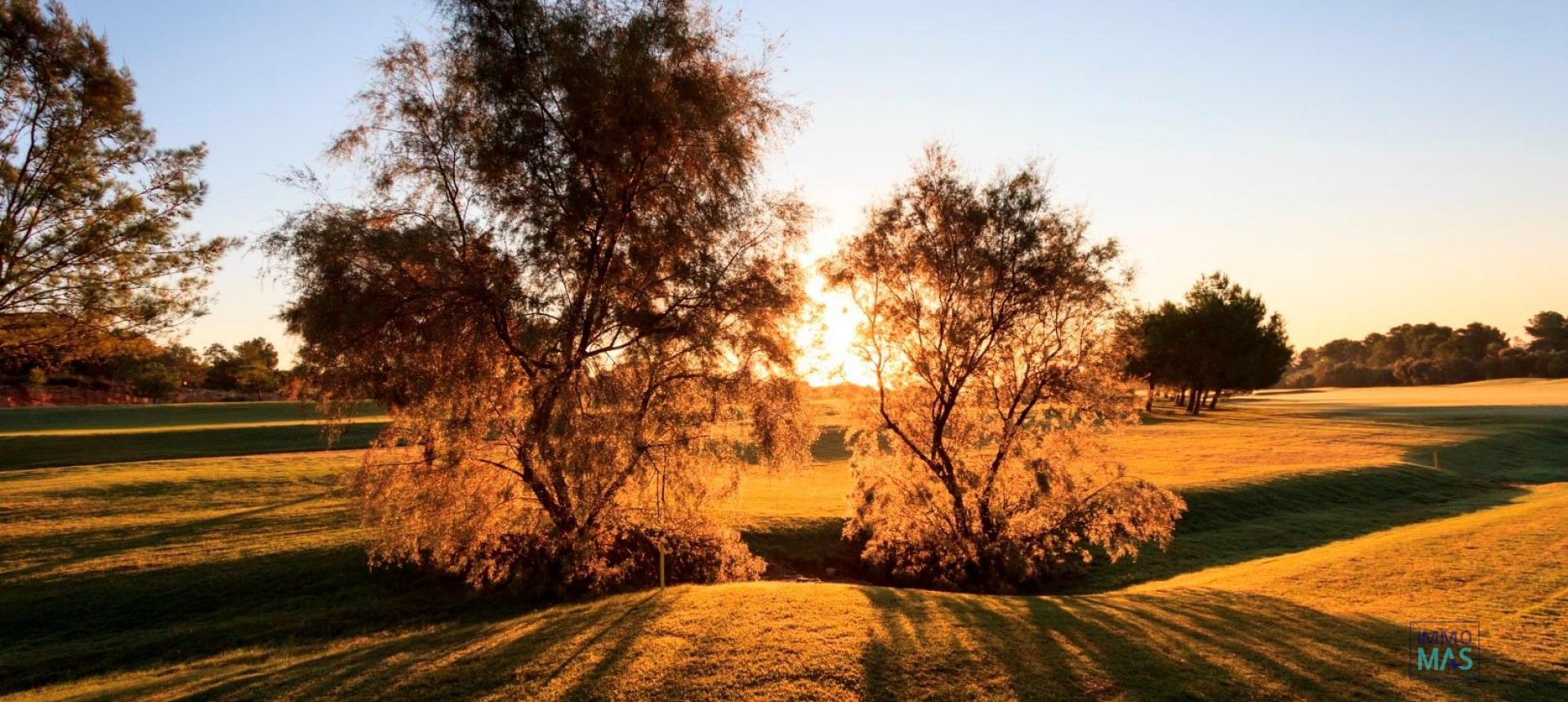 Nouvelle construction - Villa - Pilar de la Horadada - Lo Romero Golf