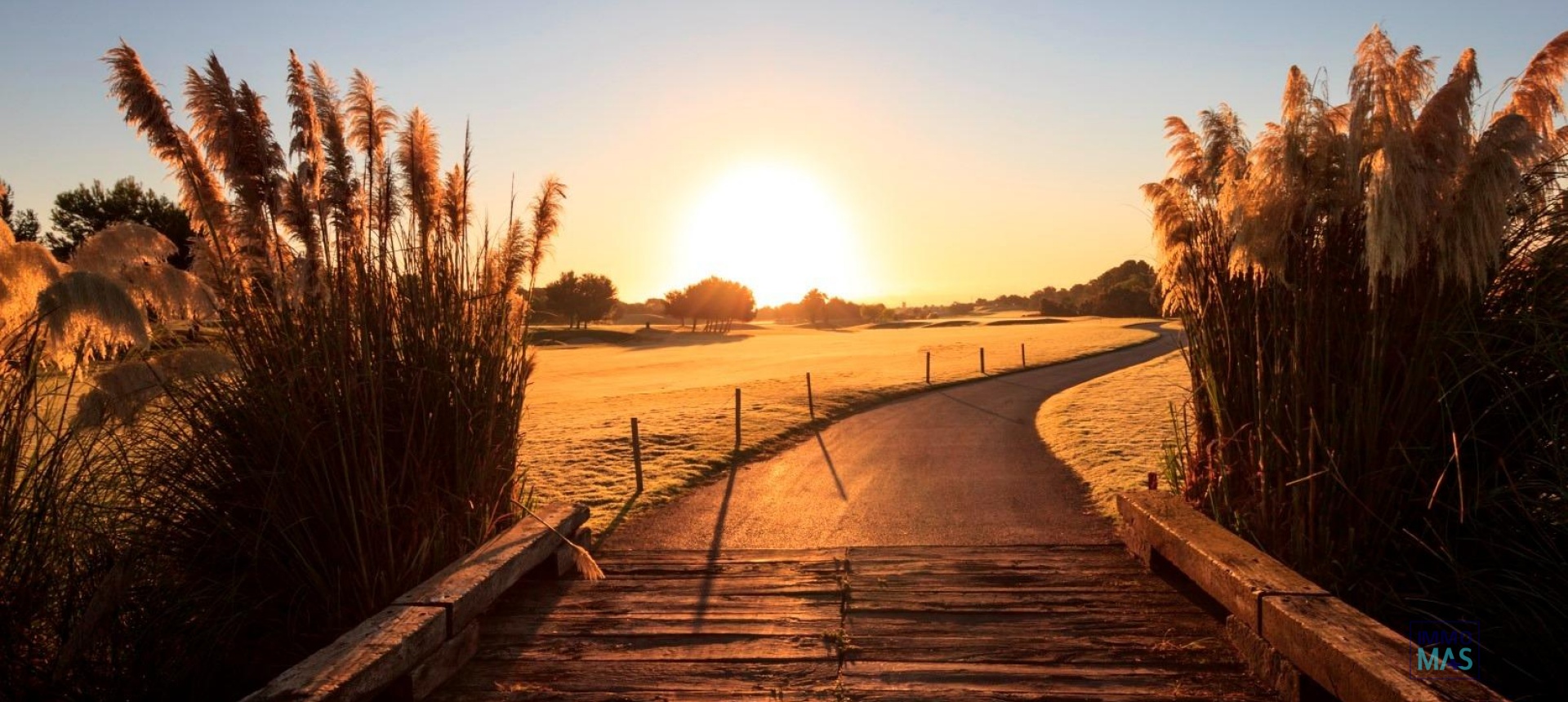 Nouvelle construction - Villa - Pilar de la Horadada - Lo Romero Golf