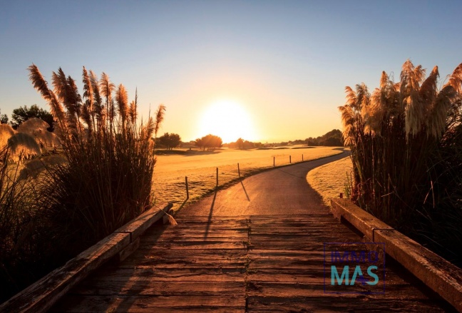 Nouvelle construction - Villa - Pilar de la Horadada - Lo Romero Golf