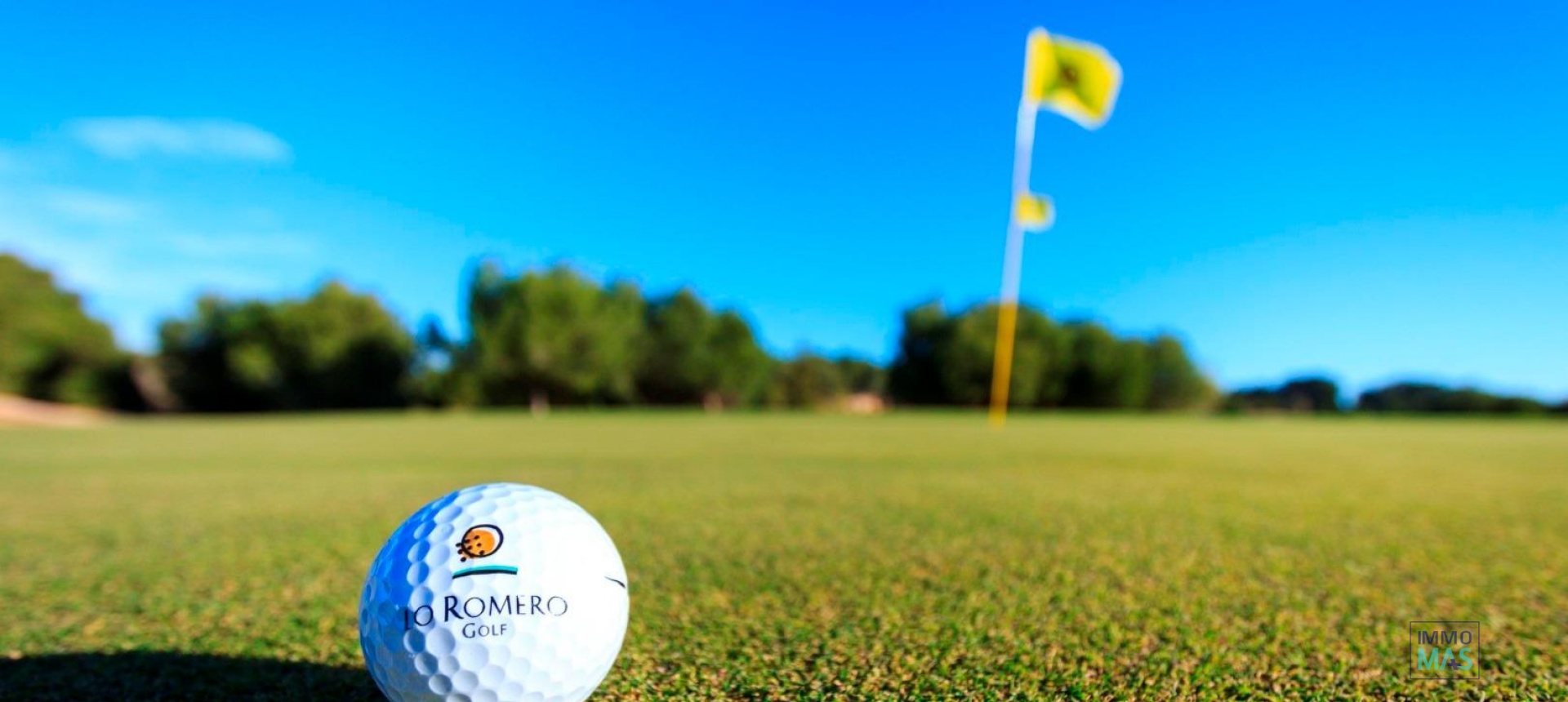 Nouvelle construction - Villa - Pilar de la Horadada - Lo Romero Golf