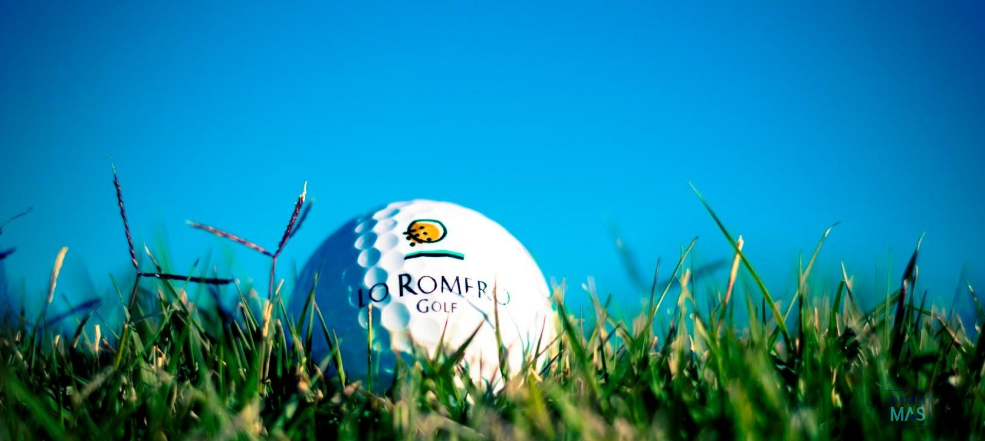 Nouvelle construction - Villa - Pilar de la Horadada - Lo Romero Golf