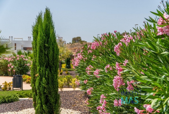 Nouvelle construction - Top Floor Bungalow - Orihuela Costa - Vistabella Golf