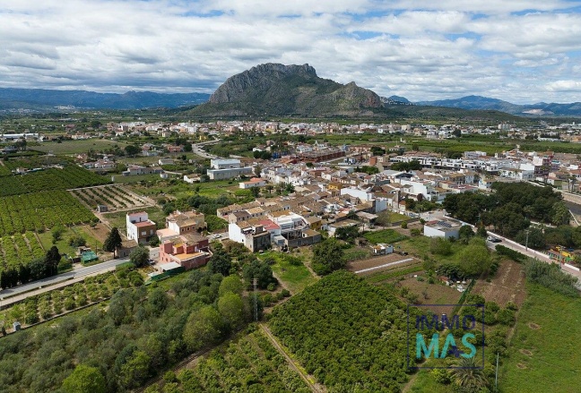 Nouvelle construction - Villa - Els Poblets - Partida Barranquets