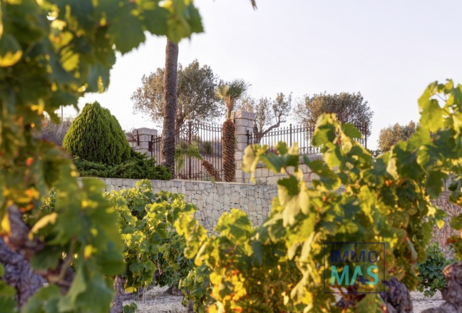 Herverkoop - Finca - Moraira - Campo