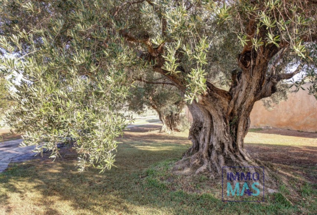 Herverkoop - Finca - Moraira - Campo