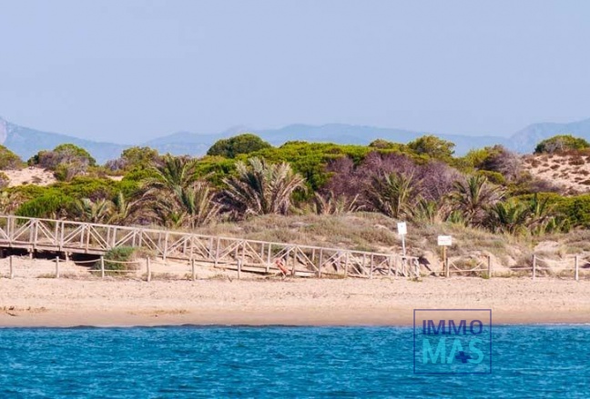 Nouvelle construction - Apartement - Guardamar del Segura - Pueblo