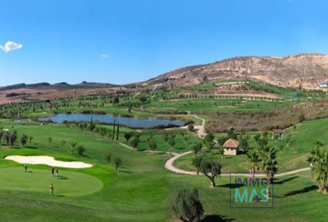 Nouvelle construction - Maison de ville - Algorfa - La Finca Golf