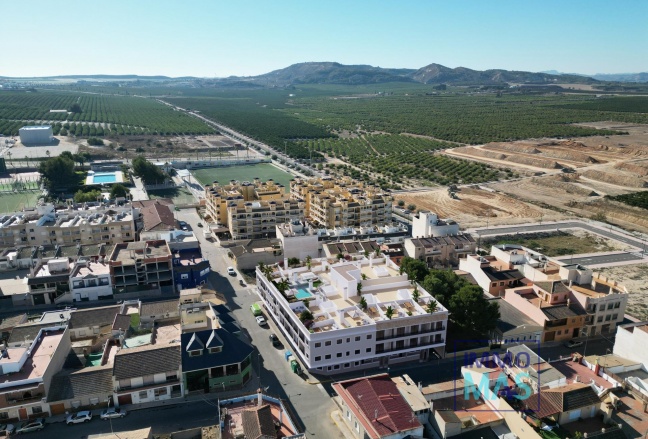 Obra nueva - Apartamento - Algorfa - Pueblo