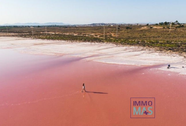 Obra nueva - Apartamento - Torrevieja - Habaneras