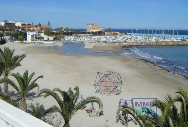 New Build - Villa - Pilar de la Horadada - pueblo