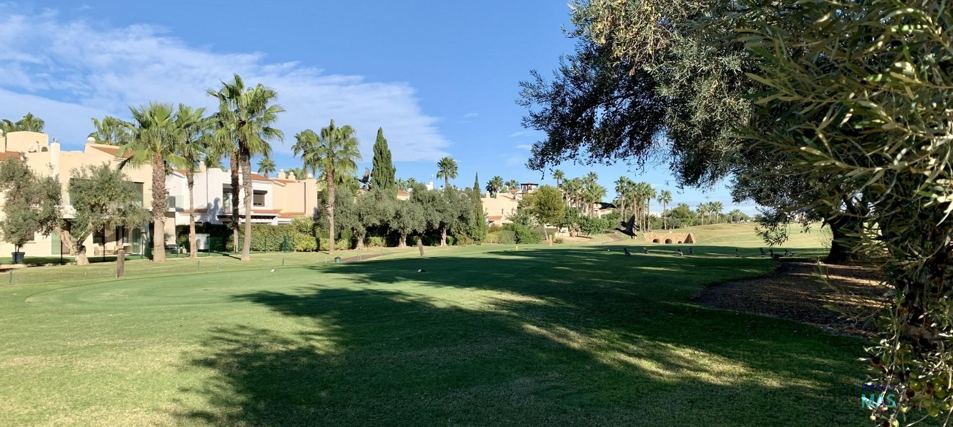 Nouvelle construction - Apartement - San Javier - Roda Golf