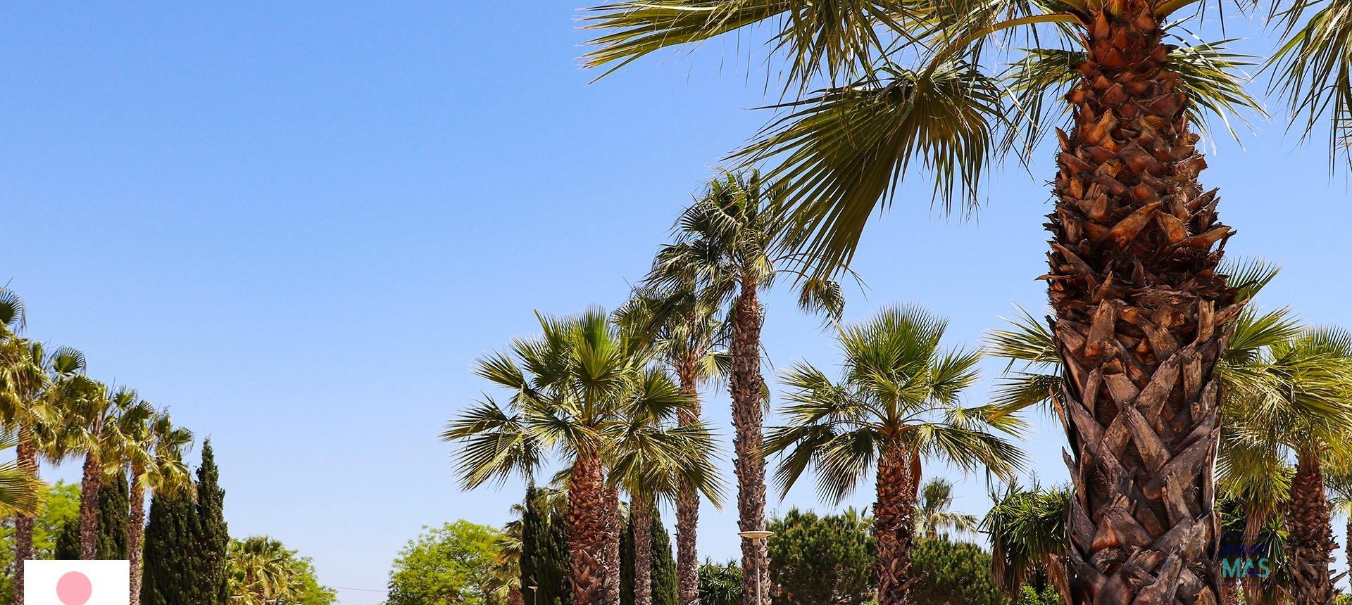 New Build - Villa - San Fulgencio - La Escuera