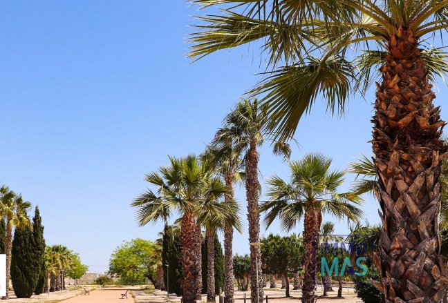 New Build - Villa - San Fulgencio - La Escuera