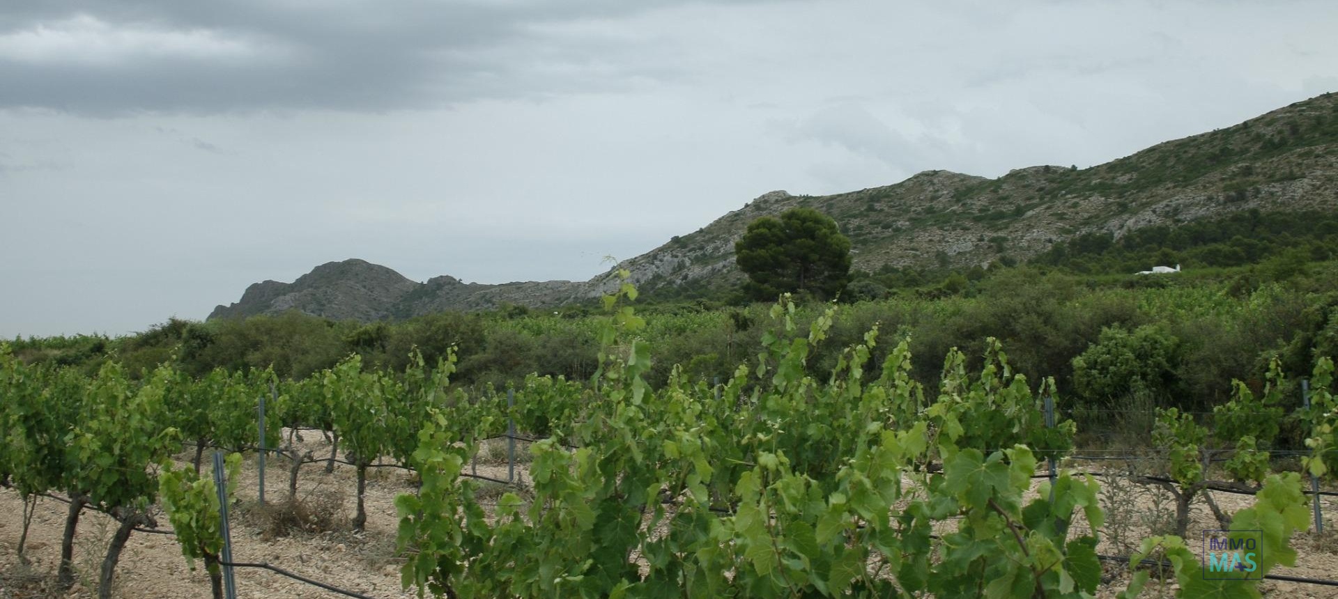 New Build - Villa - Yecla