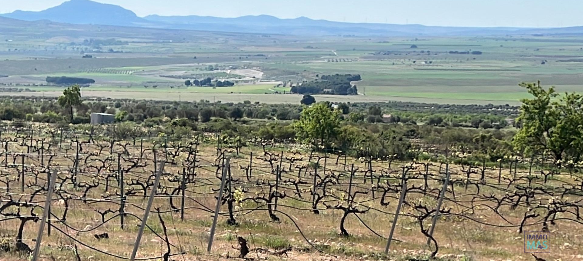 New Build - Villa - Yecla