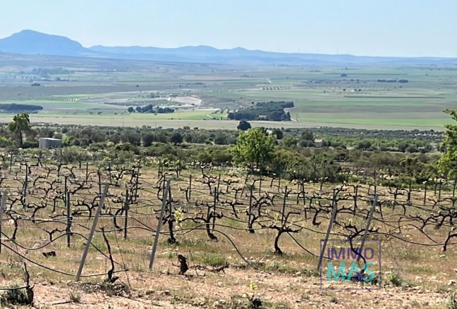 New Build - Villa - Yecla