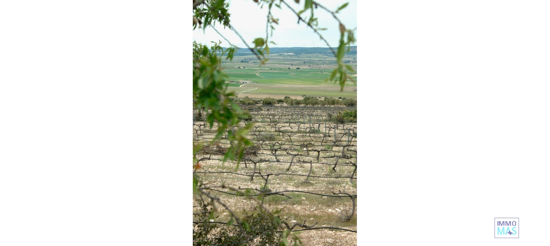 New Build - Villa - Yecla