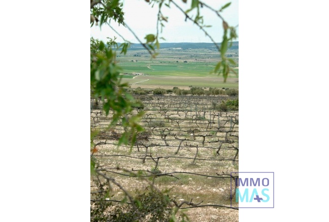 New Build - Villa - Yecla