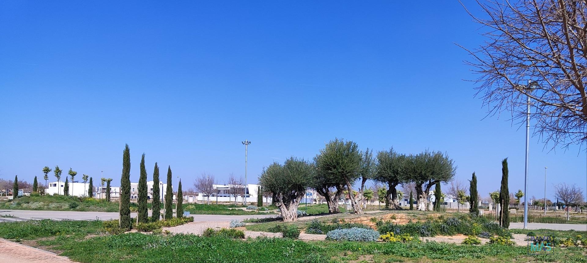 New Build - Apartment - Torre Pacheco - Centro