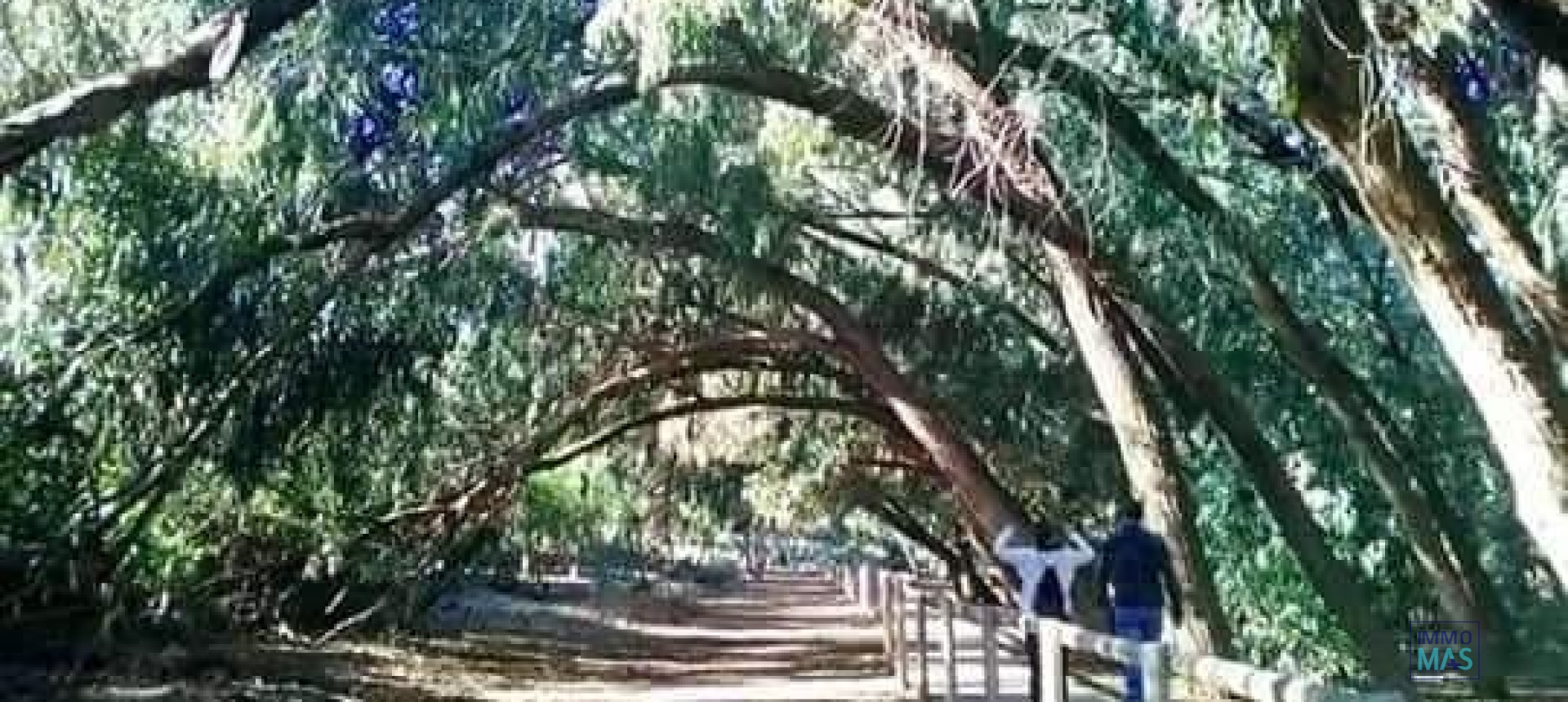 New Build - Apartment - Torrevieja - Altos del Sol