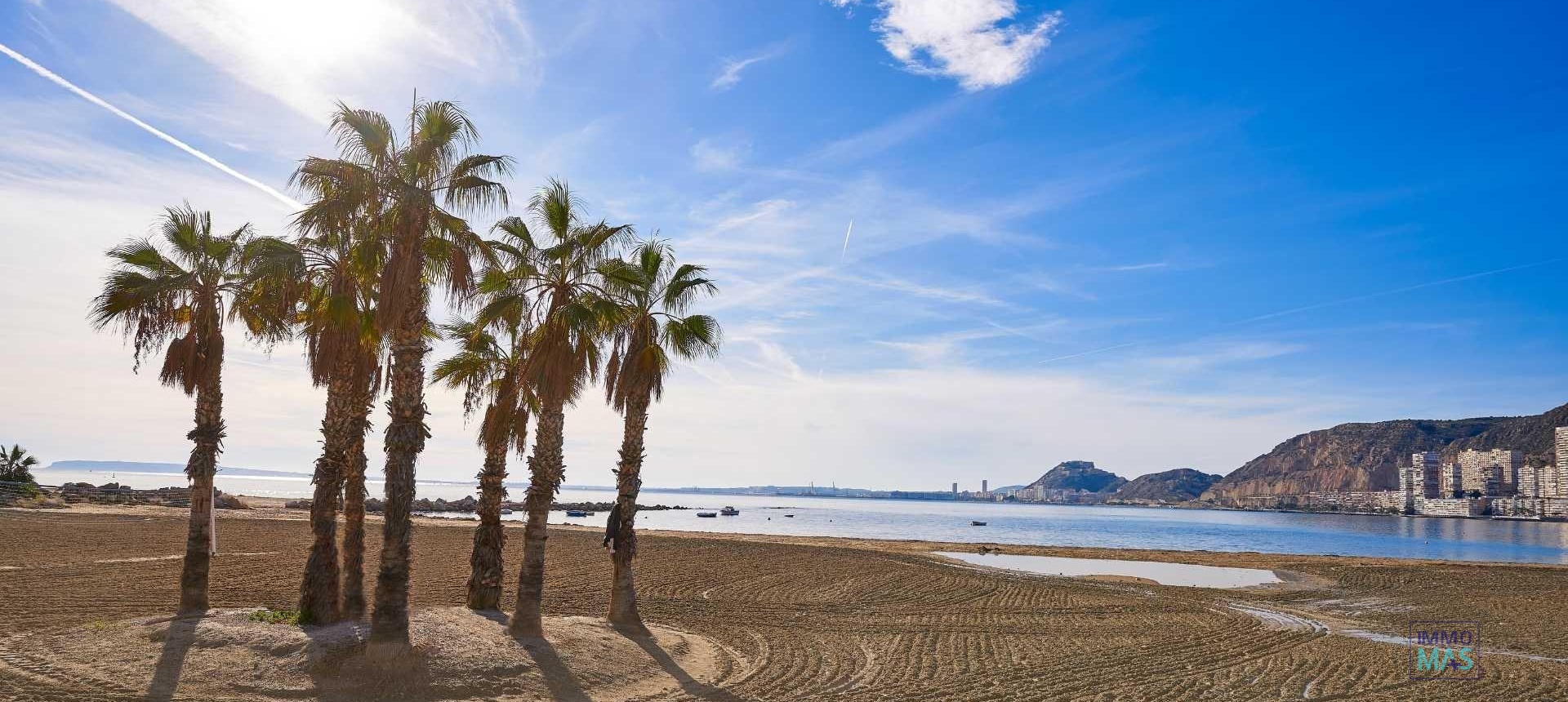 New Build - Villa - Els Poblets - Partida Barranquets