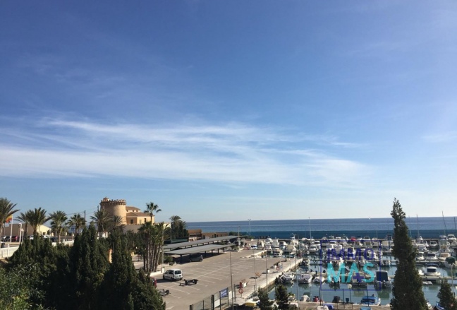 New Build - Villa - Pilar de la Horadada - Las Higuericas