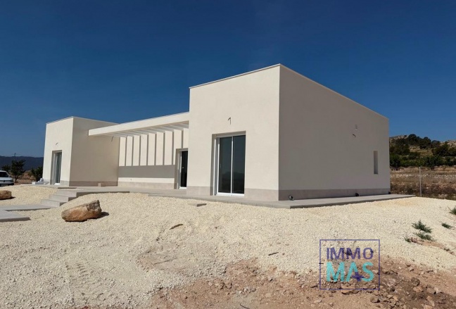 New Build - Villa - Pinoso - Camino Del Prado