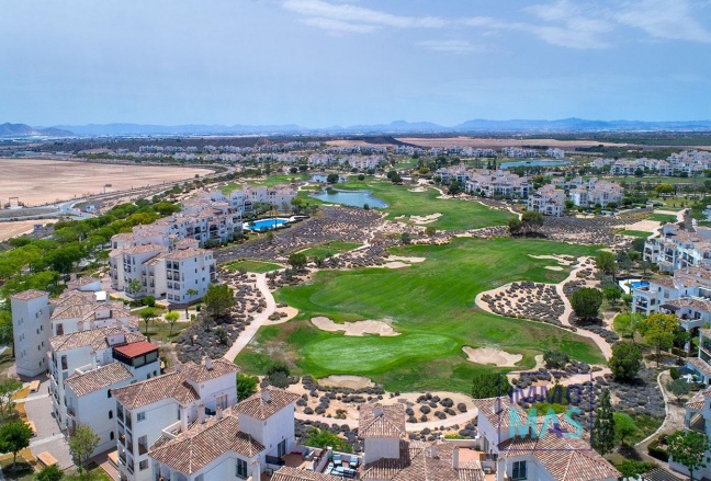 New Build - Villa / Semi semi-detached - Sucina