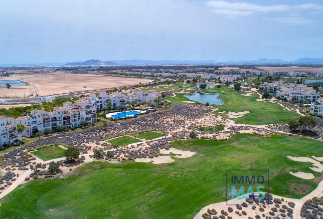 New Build - Villa / Semi semi-detached - Sucina