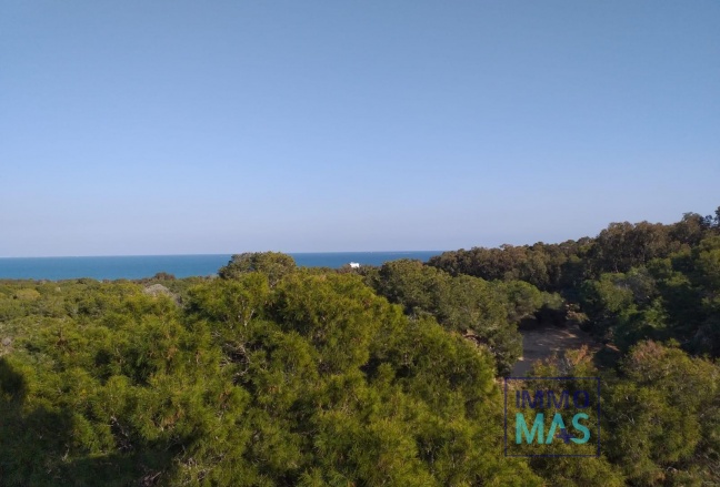 Nieuwbouw  - Apartment - Guardamar del Segura - Pueblo