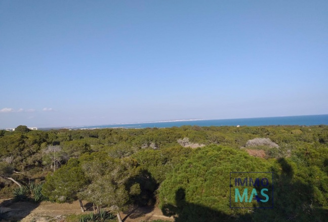 Nieuwbouw  - Apartment - Guardamar del Segura - Pueblo