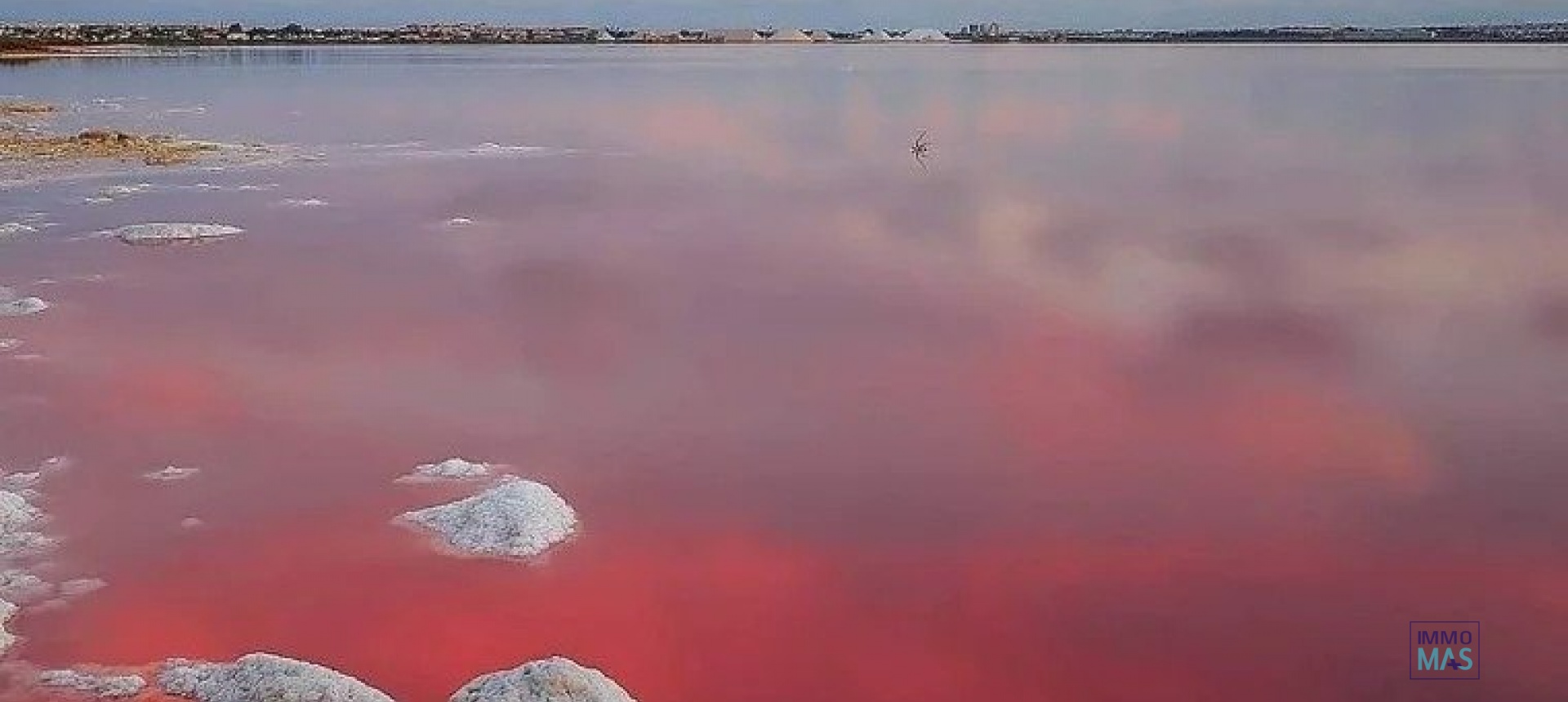 Nieuwbouw  - Herenhuis - Torrevieja - Lago Jardín II