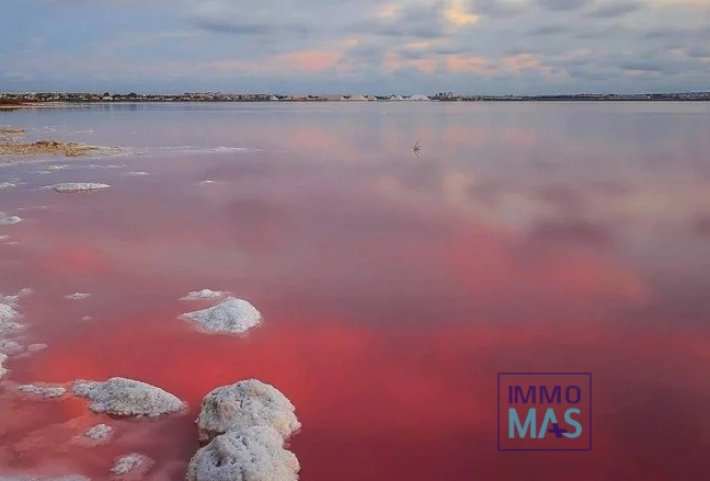 Nieuwbouw  - Herenhuis - Torrevieja - Lago Jardín II