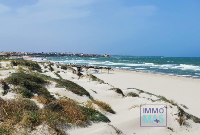 New Build - Villa - Pilar de la Horadada