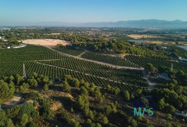 New Build - Apartment - Godella - Campolivar