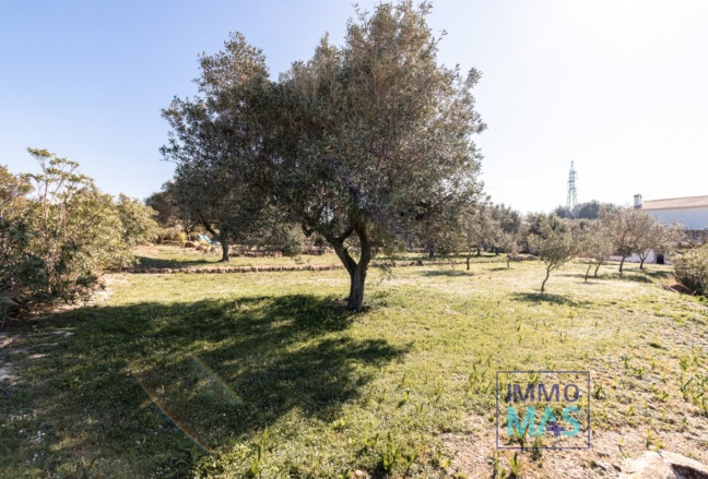 Resale - Finca - Teulada - Canor