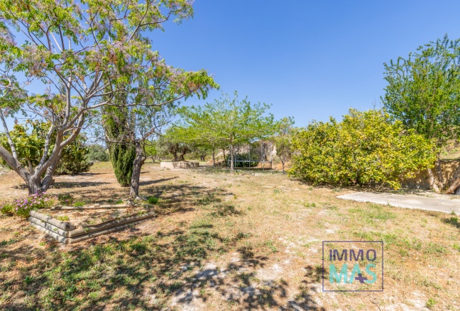 Reventa - Finca - Teulada - Campo