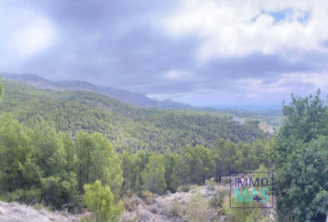 Herverkoop - Perceel / Grond - Callosa De Ensarrià