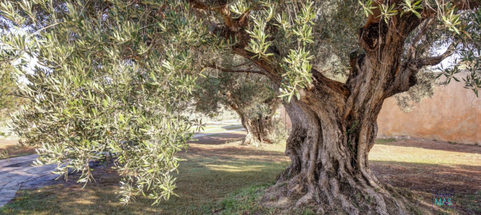 Resale - Finca - Moraira - Campo