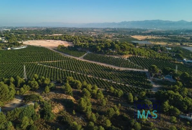 New Build - Villa - Godella - Campolivar