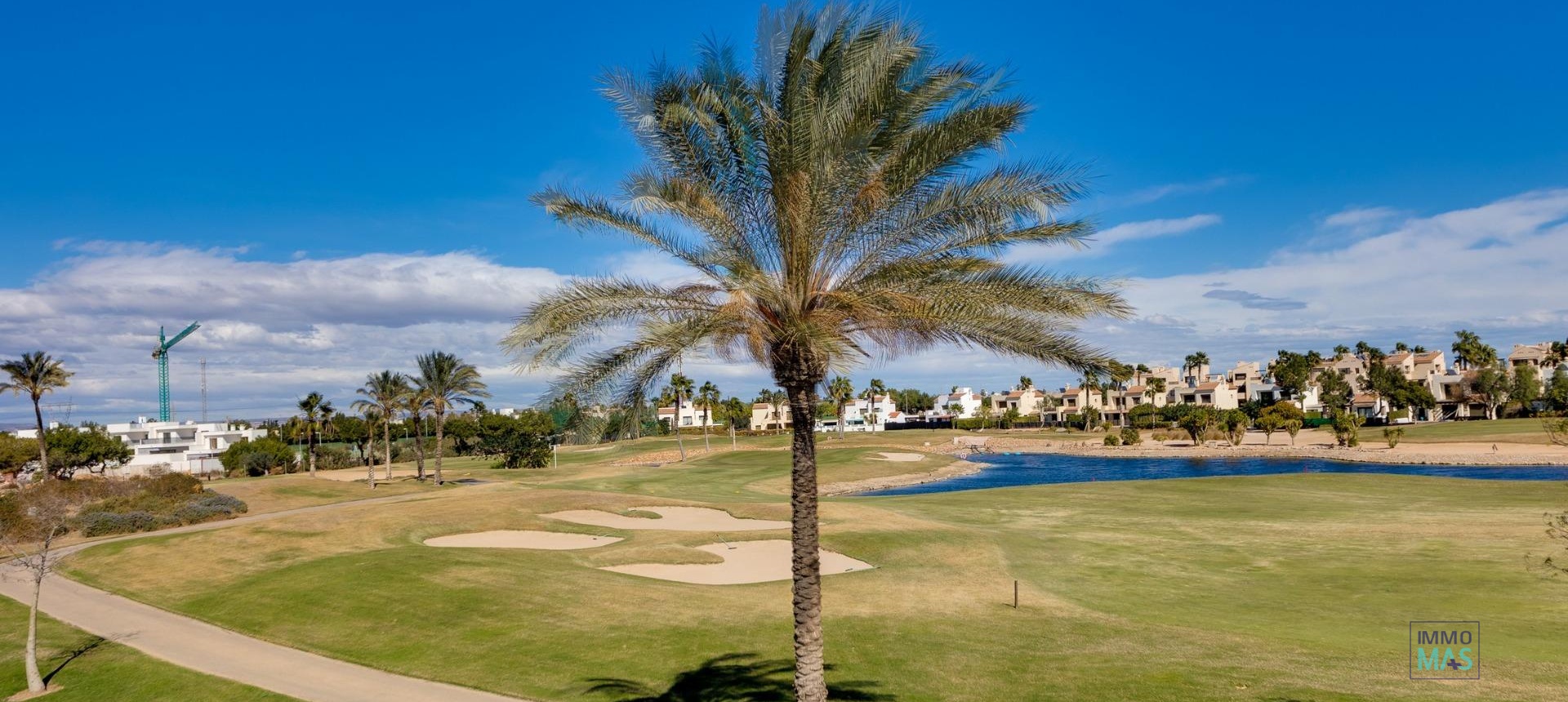 New Build - Villa - Pilar de la Horadada - Lo Romero Golf