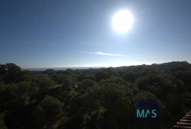 New Build - Apartment - Guardamar del Segura - Pueblo
