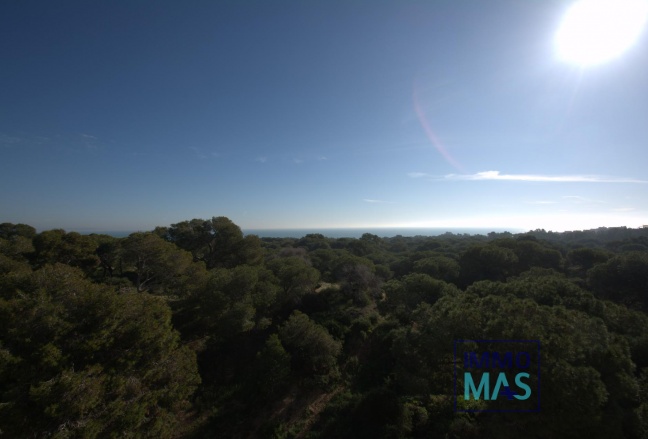 New Build - Apartment - Guardamar del Segura - Pueblo
