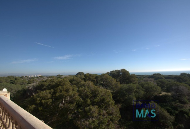 New Build - Apartment - Guardamar del Segura - Pueblo