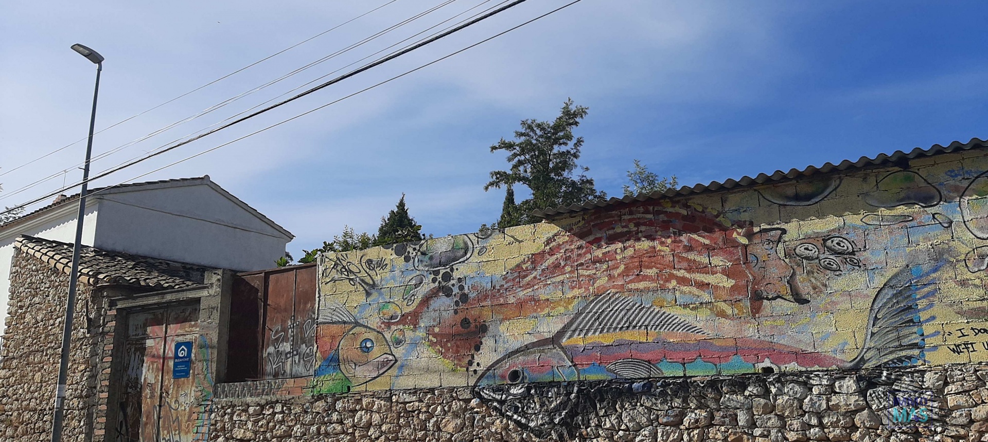 Revente - terrain - Orba