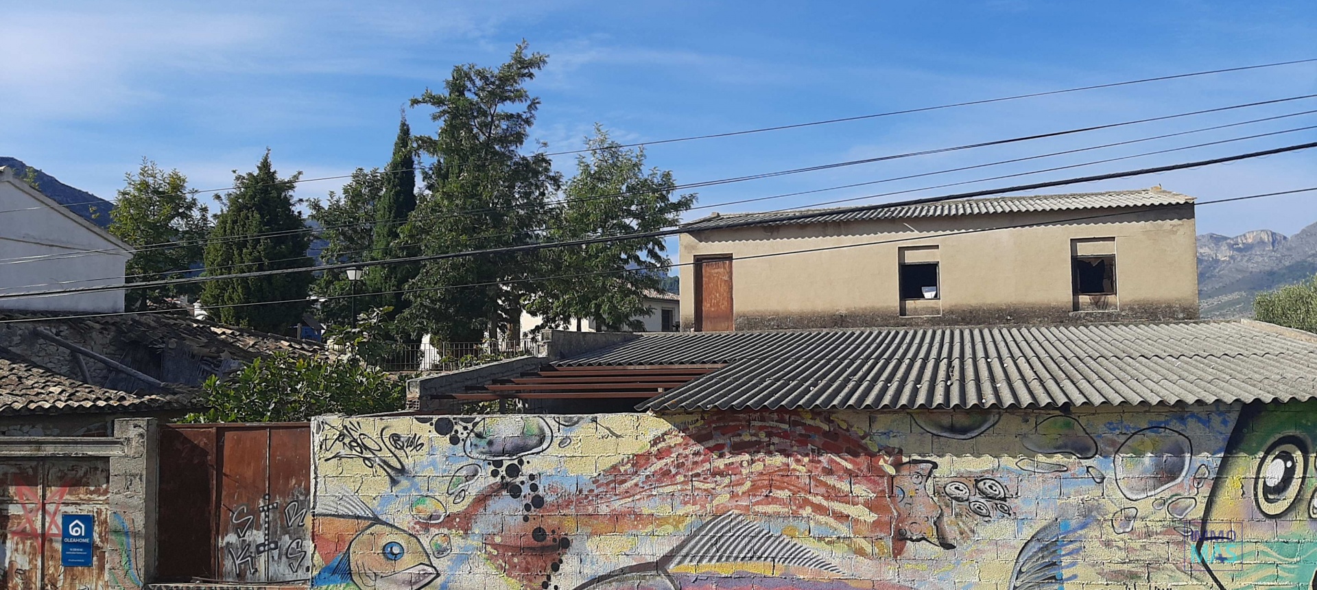 Revente - terrain - Orba