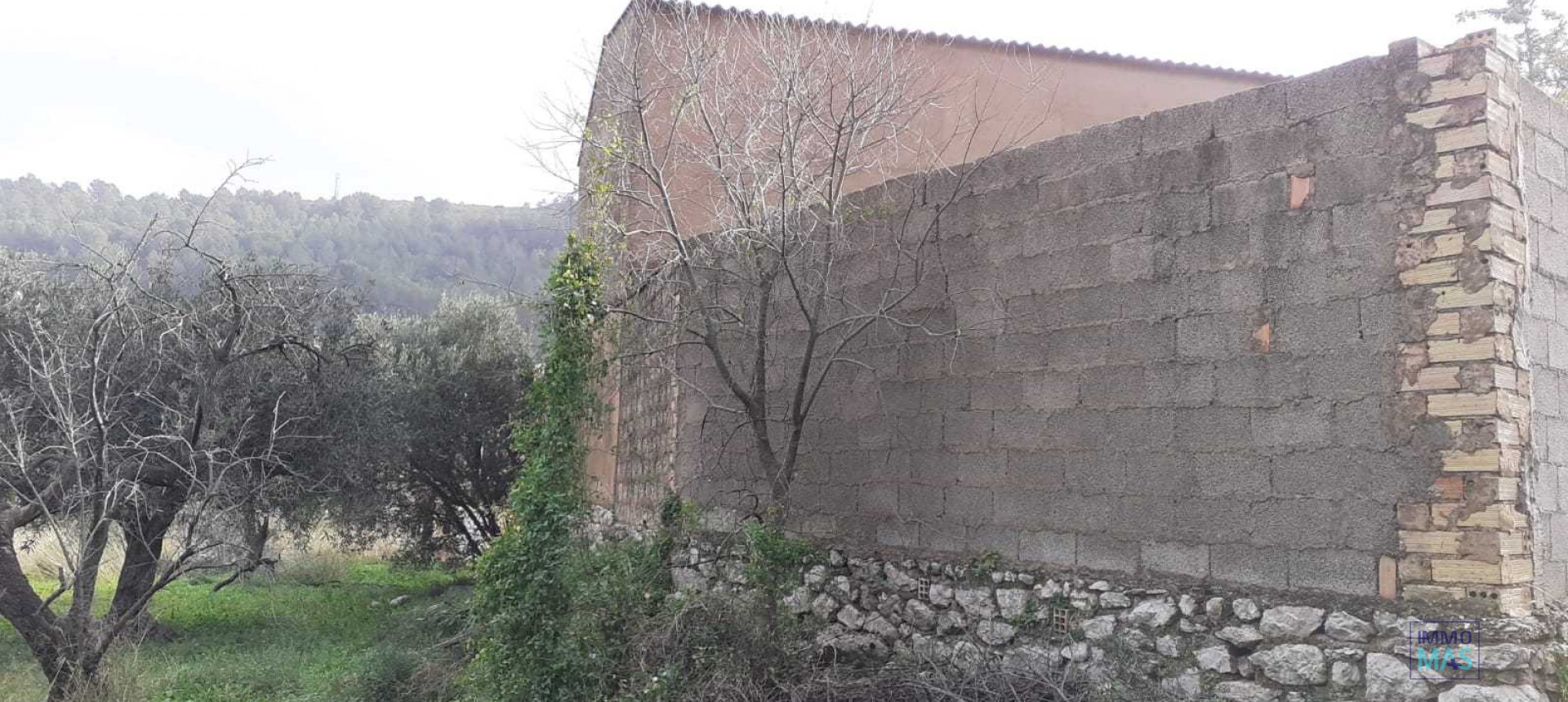 Revente - terrain - Orba