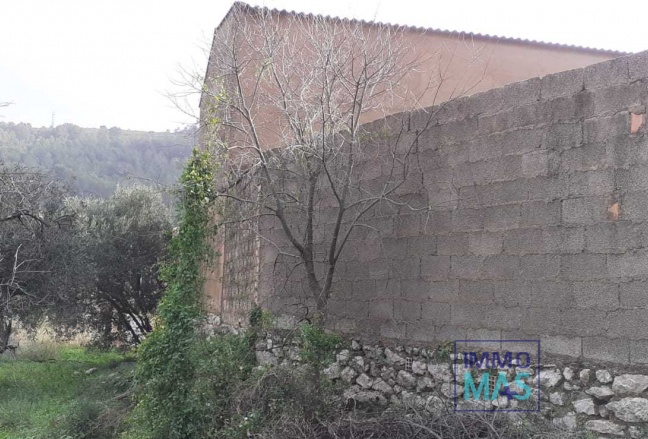 Revente - terrain - Orba