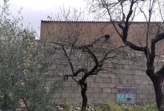 Revente - terrain - Orba
