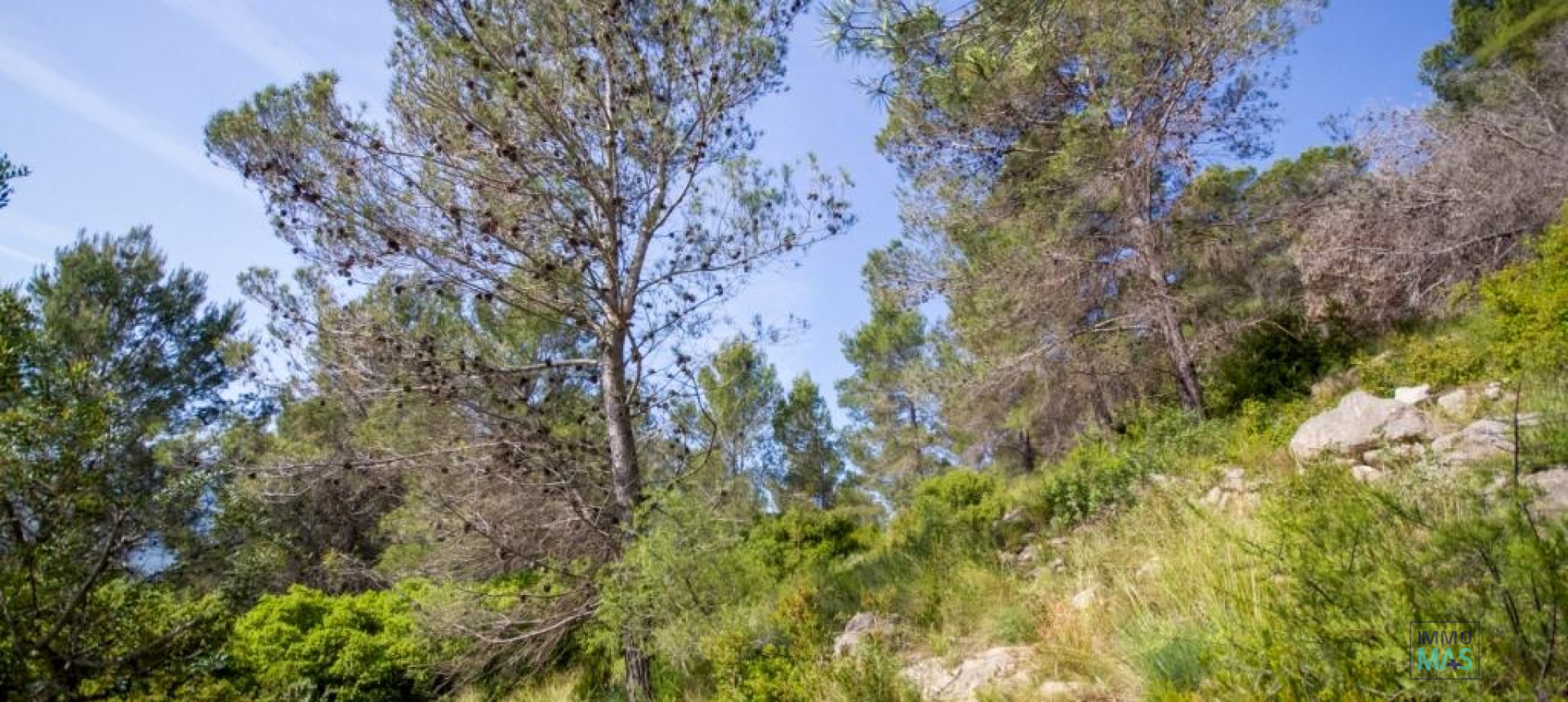 Revente - terrain - Murla